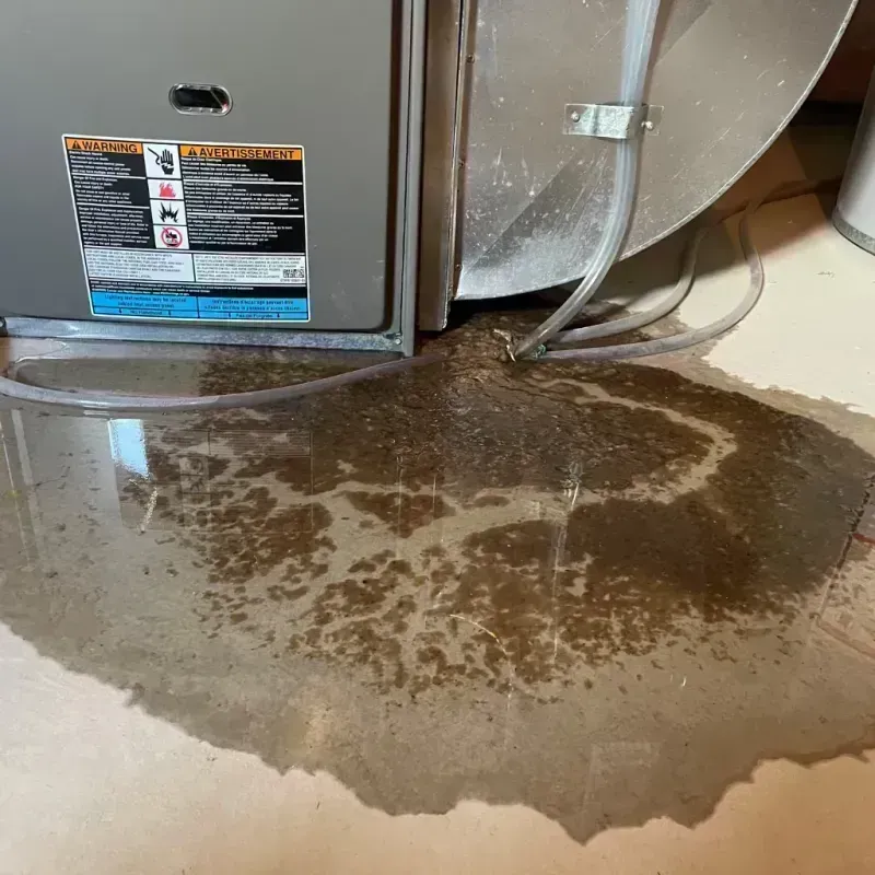 Appliance Leak Cleanup in Maine, WI